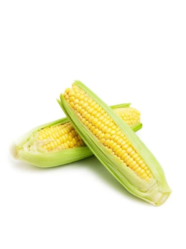 CAMERON BI COLOR SWEET CORN PC