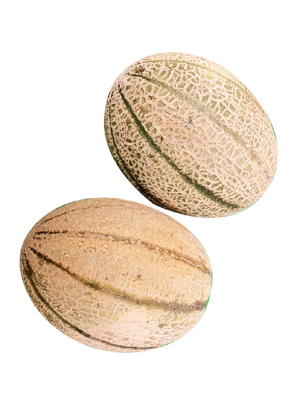 AUST ROCK MELON (+/-2KG)