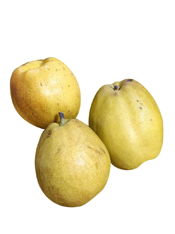 CHINA FRAGRANT PEAR (+/-500G)