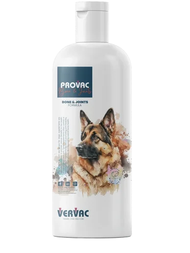 PROVAC BONE & JOINTS FORMULA 300ML