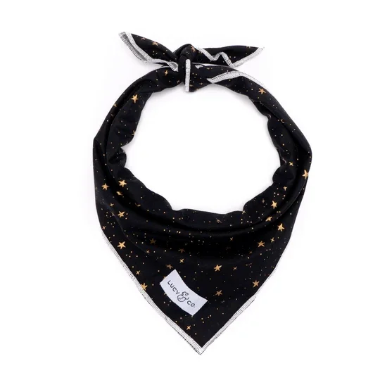 Lucy&Co Dog Bandana: The Aquarius