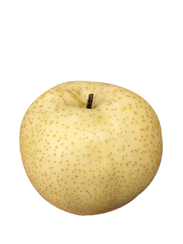 CHINA GOLDEN KING PEAR PC