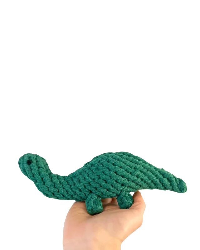 Eco-Friendly Dinosaur Rope Dog Toy