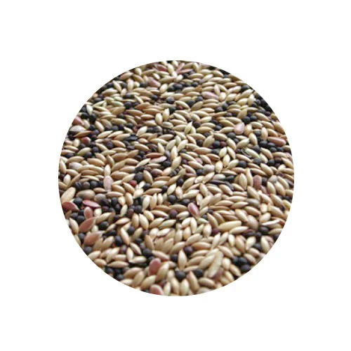 Canary Seed Mix