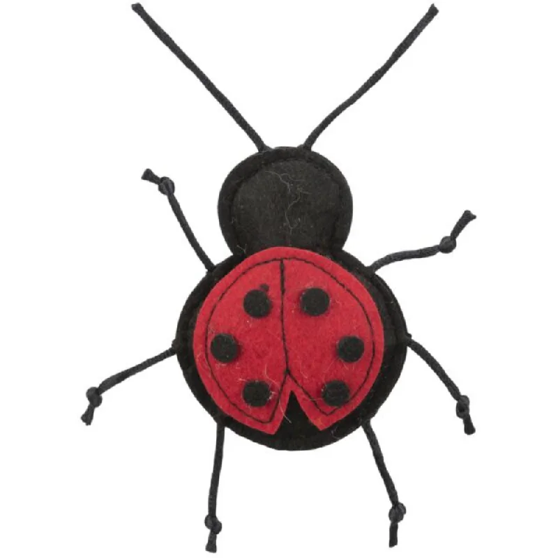 Ladybird